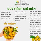  Mứt Tắc Lắc Muối Ớt – Chua Ngọt Cay Cay Tự Nhiên – 123 FARM – Hũ 300g 