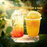  [Mua 4 Tặng 1] Bưởi Xí Muội Cô Đặc 123 FARM – Pha Nước, Làm Thạch, Trà Trái Cây – Hũ 500g 