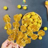  Tắc mật ong 123 FARM 300g - vị chua ngọt tự nhiên, tốt cho cổ họng, ăn vặt healthy 