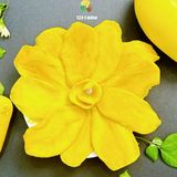 Xoài sấy dẻo 123 FARM - vị chua ngọt tự nhiên, không xơ - Hộp 500g 
