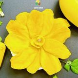  Combo Tâm Sự 123 FARM - xoài sấy dẻo & mãng cầu sấy dẻo - vị ngọt tự nhiên, mềm dẻo - 2 gói 270g 