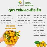  Tắc Sấy Dẻo Chưng Đường Phèn – Thanh Giọng, Giảm Ho – Trái Cây Thảo Dược 123 FARM (Gói 85g) 