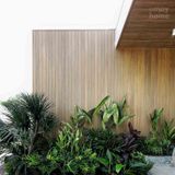 Tấm ốp gỗ nhựa ASA Ecowood WPO-10016CD