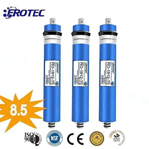Màng RO Frotec 1812-75 Chính Hãng | Lọc Nước Gia Đình Hiệu Quả