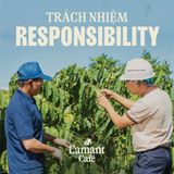  Cà Phê Hữu Cơ Hàm Rồng Túi Lọc – Drip Coffee Hương Vị trái cây nhiệt đới – Hộp 10 gói 