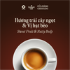  Espresso Nâu 30% Arabica và 70% Robusta - Cà phê hạt rang nguyên chất Túi 1 kg 