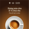  Espresso Vàng 100% Arabica - Cà phê hạt rang nguyên chất Túi 1 kg 