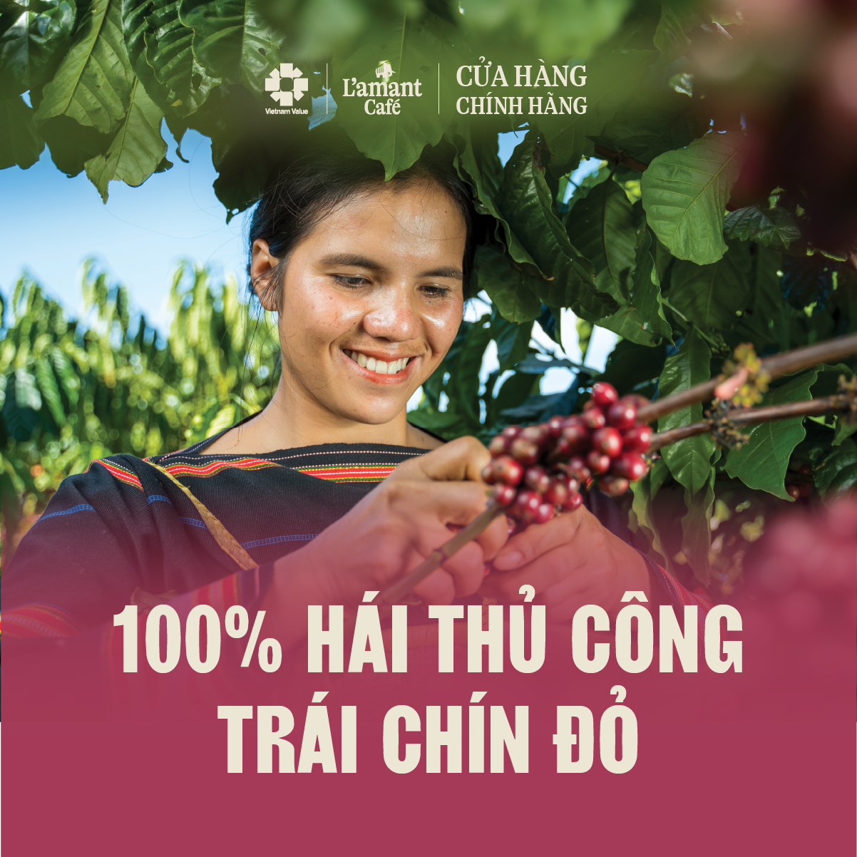 Phin Truyền Thống - Cà phê rang xay nguyên chất Túi 1 Kg