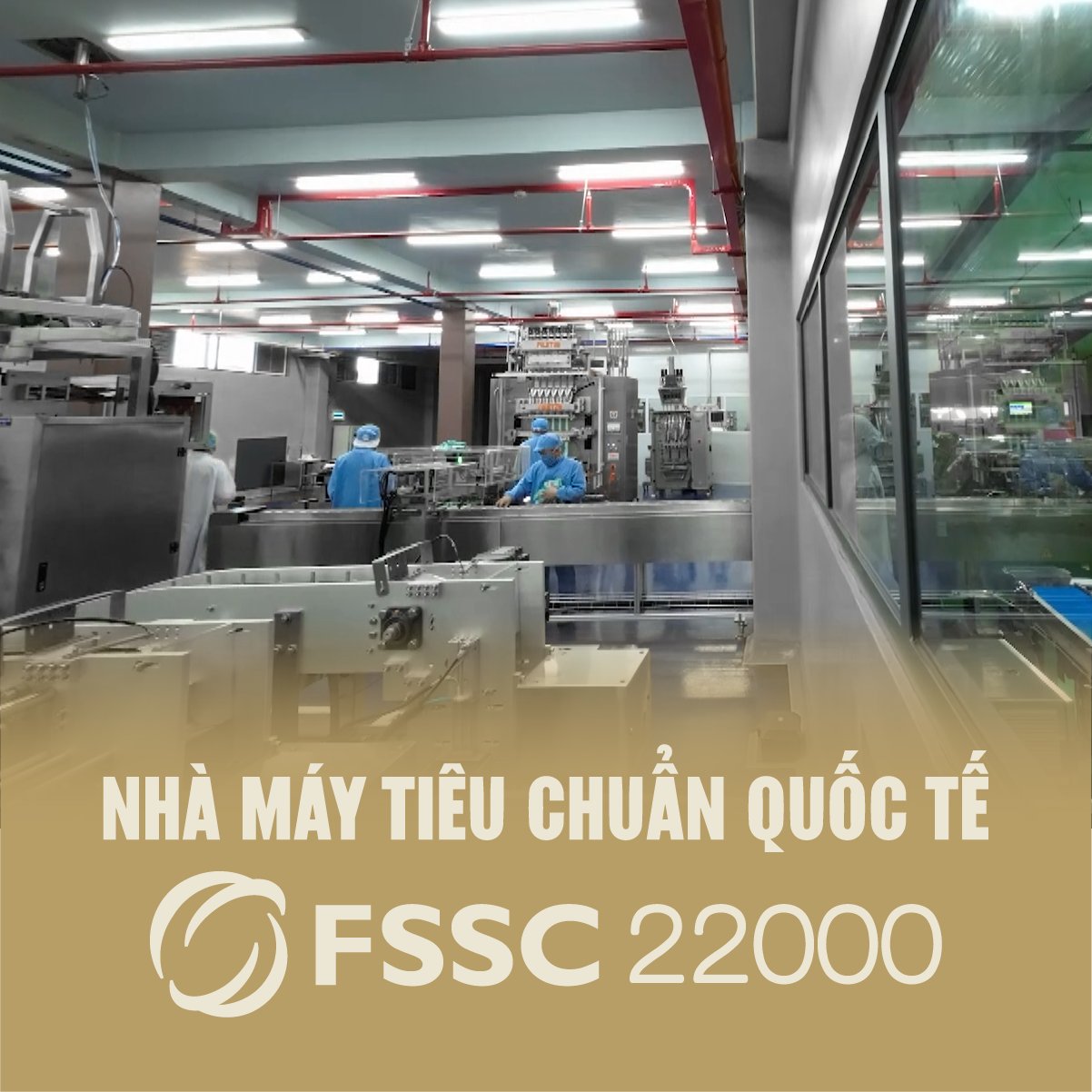 Tiêu đen hữu cơ - Hộp 200g