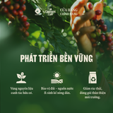  Cà phê hữu cơ nguyên chất L’amant Núi Hàm Rồng - Ham Rong Mountain Organic Coffee 