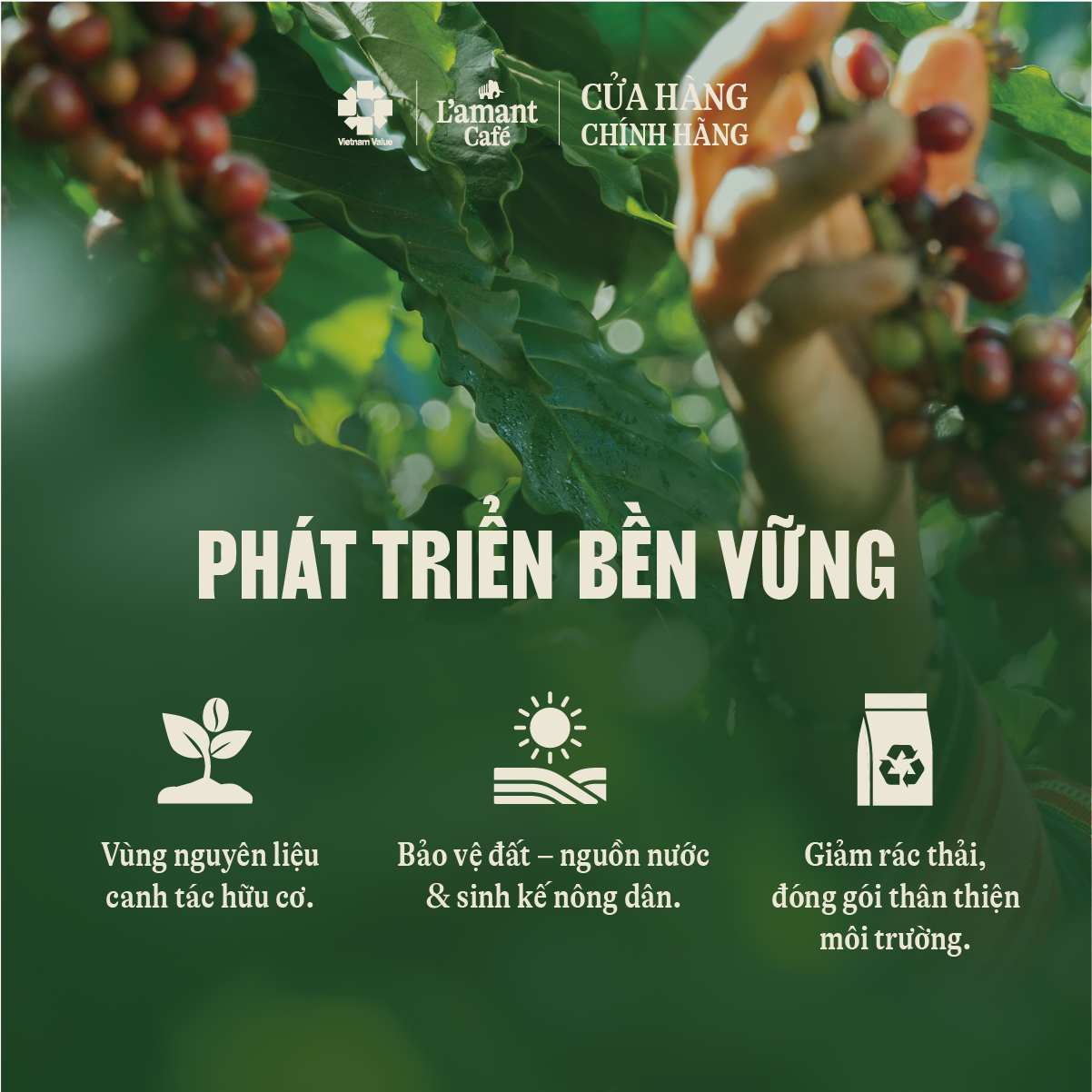 Espresso Tím 60% Arabica và 40% Robusta - Cà phê hạt rang nguyên chất Túi 1 kg