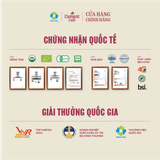  [MỚI] Cà Phê 100% Arabica Túi Lọc – Drip Coffee Hương Vị Trái Cây Chín Mọng – Hộp 10 gói – L’amant Happy Life 