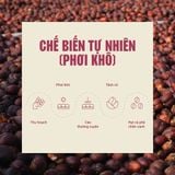  Cà phê hữu cơ nguyên chất L’amant Núi Hàm Rồng - Ham Rong Mountain Organic Coffee 