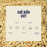  Cà phê hữu cơ nguyên chất L’amant Núi Hàm Rồng - Ham Rong Mountain Organic Coffee 