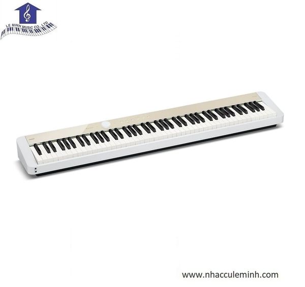 Đàn Piano Casio PX-S1100