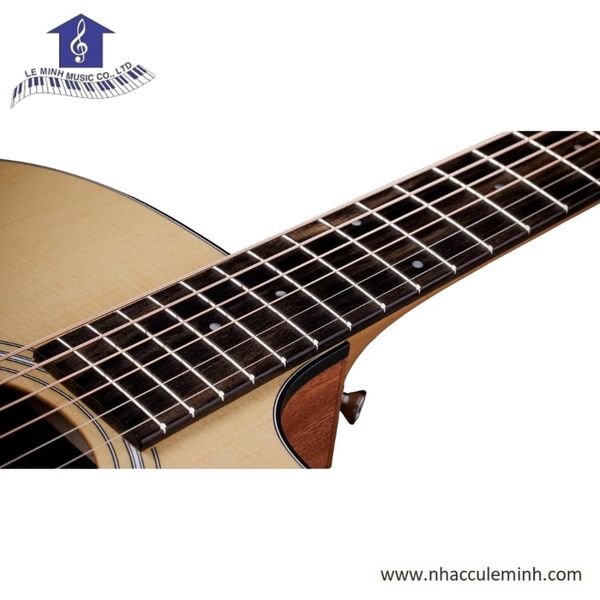 Đàn Guitar Acoustic Taylor 110ce-S w/Softshell Case