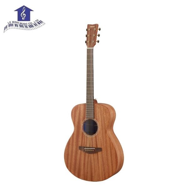 Đàn Guitar thùng Yamaha Storia II