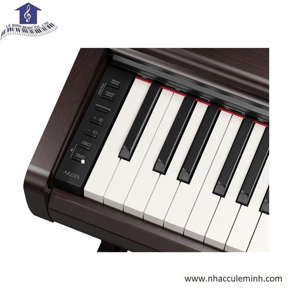 Đàn Piano Điện Yamaha YDP-146 Arius – Chính Hãng, Mới 2026