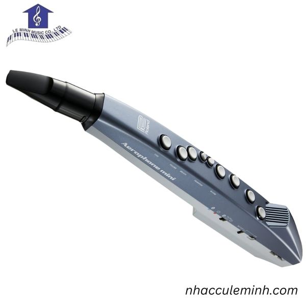 Kèn Điện Roland MiNi Aerophone |Chính Hãng