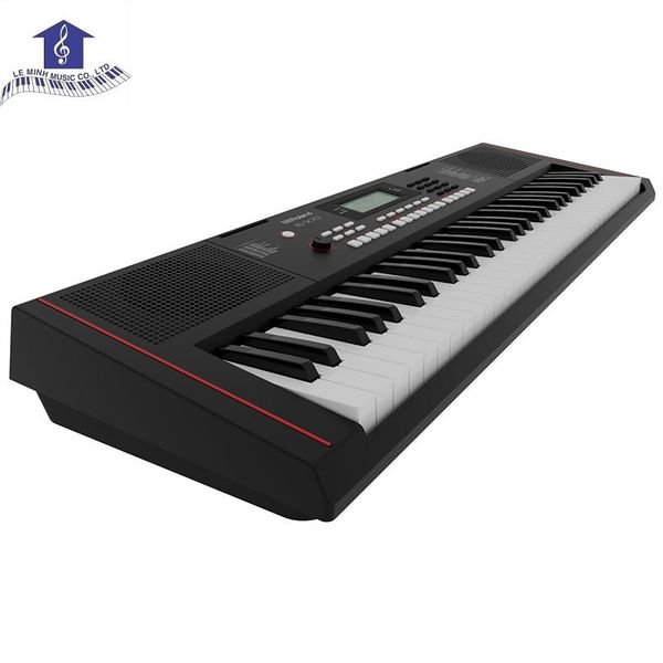 Đàn Organ Roland E-X10