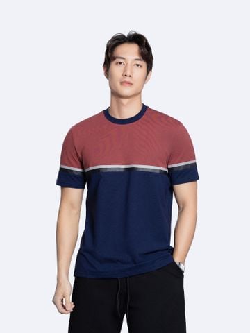 Áo Thun Ghép Màu CS1210 BC167