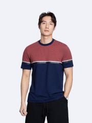 Áo Thun Ghép Màu CS1210 BC167