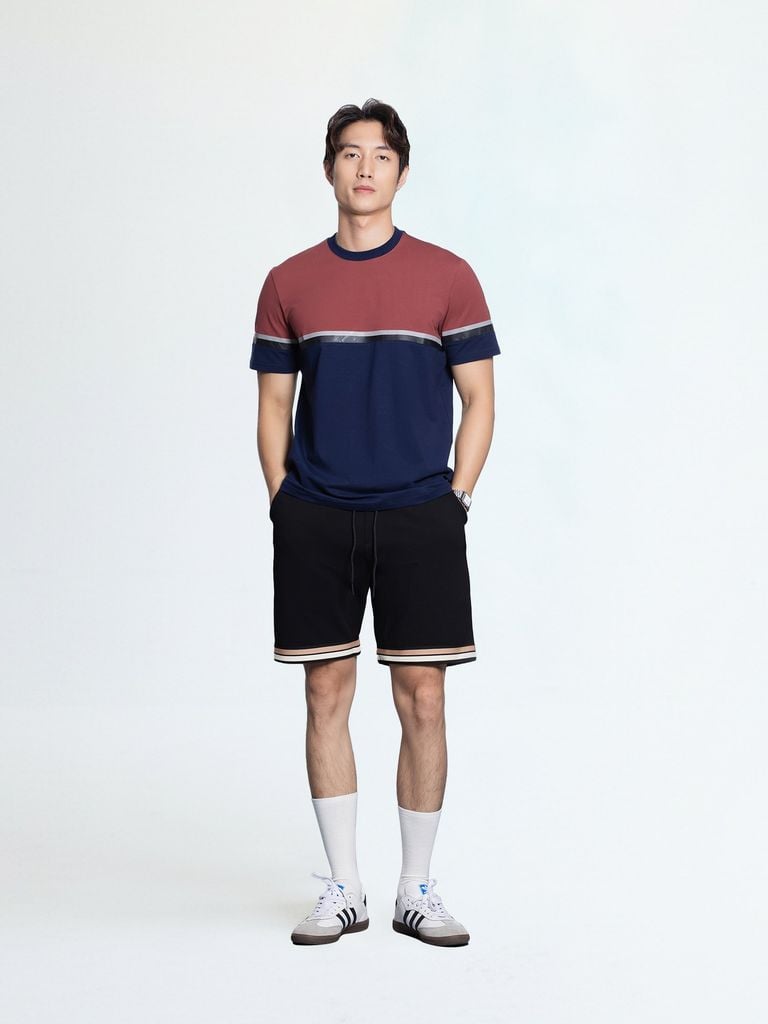 Áo Thun Ghép Màu CS1210 BC167