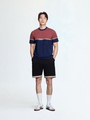 Áo Thun Ghép Màu CS1210 BC167