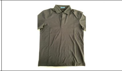 Áo Polo Nam Trơn R1300 BB131