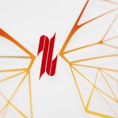 TBTN - Wings Bandana