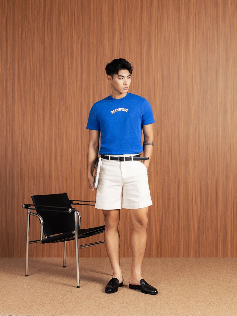 Áo Thun - AT - CS1210 BE118