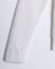 Áo Thun Có Cổ - ATC - CS1300 BE260