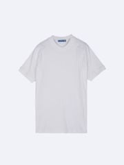 Raglan Premium Tees 20219