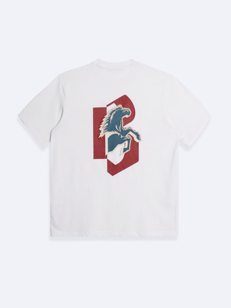 Áo Thun - AT - R1210 BF303