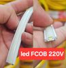 Led dây COB  220V  IP65 chống nước  100m/cuộn (PT)