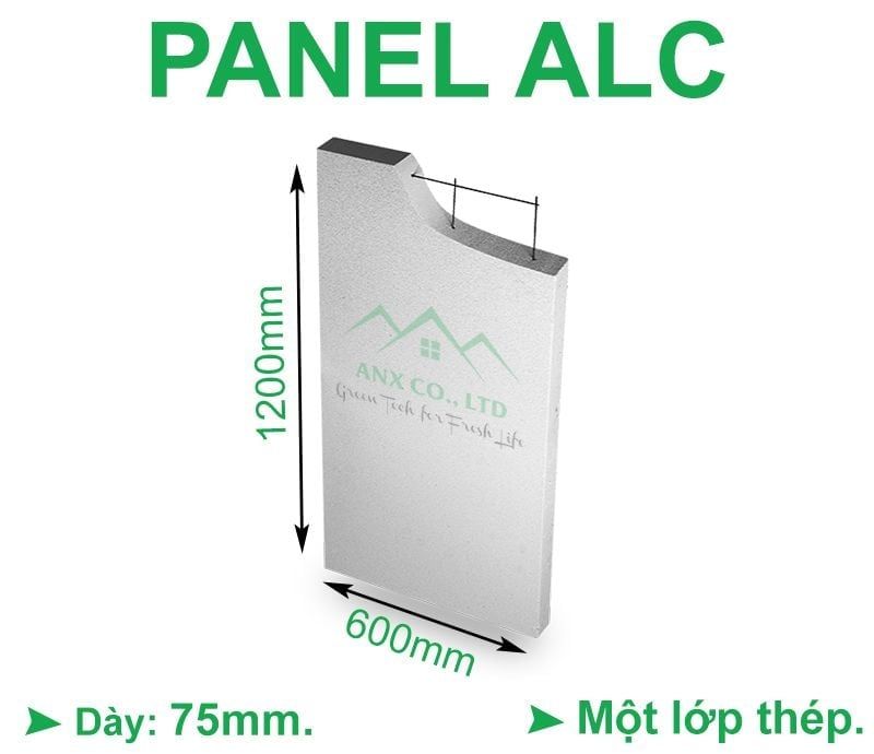 Tấm ALC Panel dày 200mm Bê Tông Khí Chưng Áp 