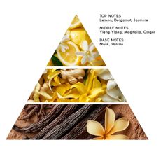 Ylang Ylang & Musk