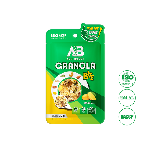 Túi ngũ Cốc Granola Bite 30g Dạng Viên
