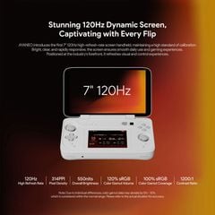 Máy chơi game cầm tay Ayaneo Flip DS