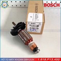 Rô to GBH 2-24 1.619.P13.450