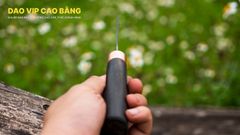 Dao bóc tỏi, gọt hoa quả - DBTMDD DAO VIP CAO BẰNG
