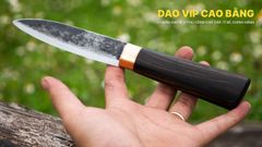 Dao bóc tỏi, gọt hoa quả - DBTMDD DAO VIP CAO BẰNG
