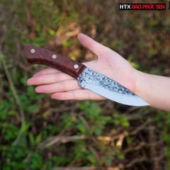 Dao thái lọc nhíp xe DR02LC
