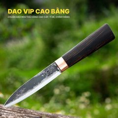 Dao bóc tỏi, gọt hoa quả - DBTMDD DAO VIP CAO BẰNG