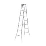  Thang inox DELI Hakawa 