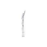  Thang inox SUPER CNC 