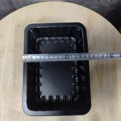 Khay Nhựa Đựng Thực Phẩm PP - VT43