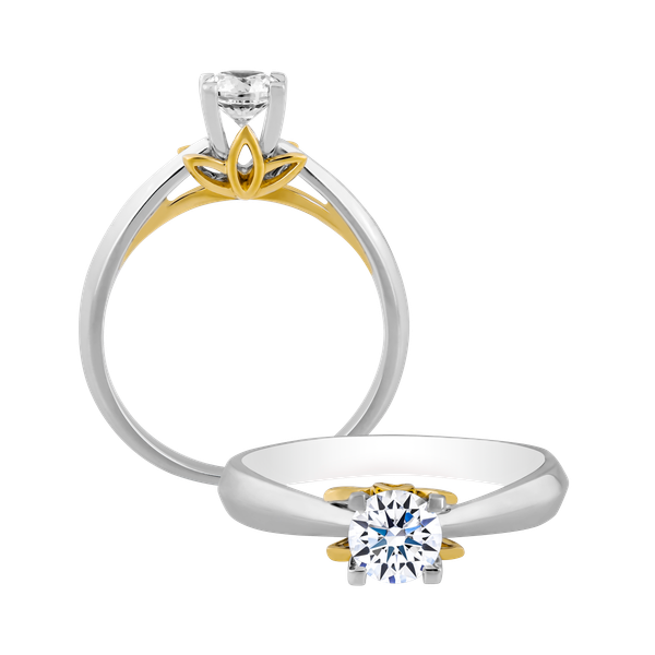Nhẫn nữ kim cương vàng 14K Dedicated N 10p