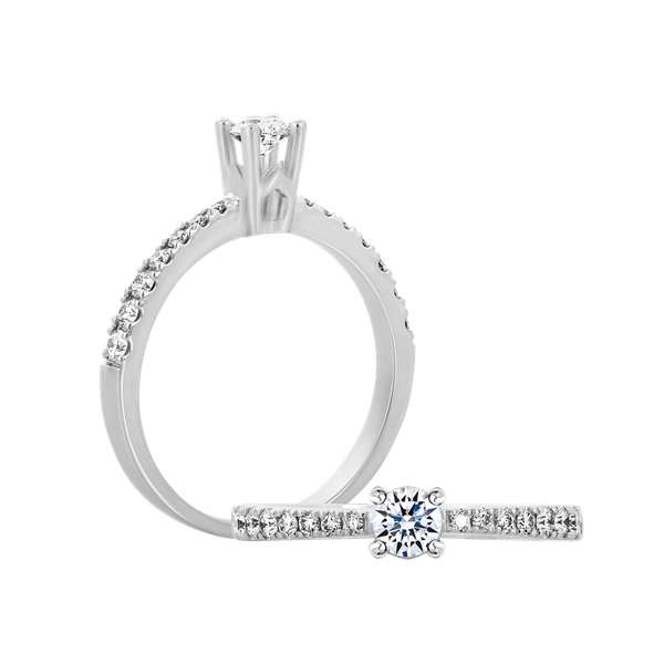 Nhẫn nữ kim cương tấm vàng 14K Seatiment 2C