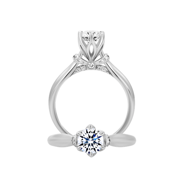 Ổ nhẫn nữ kim cương tấm vàng 14K Delights 5C